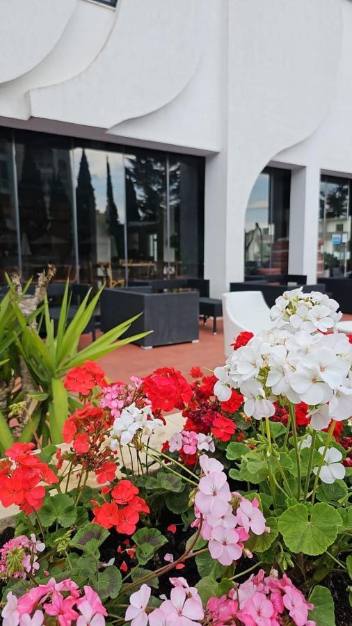 Sunborn Hotel Golem (Tirana)